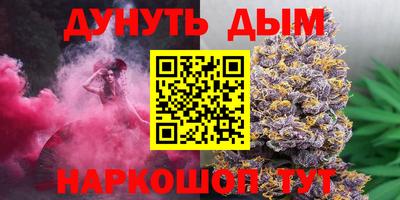 2c-b Кингисепп