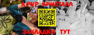 2c-b Кингисепп