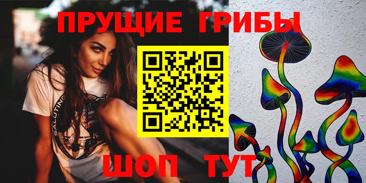Костомукша  Псилоцибиновые грибы Psilocybe  Вход с VPN 